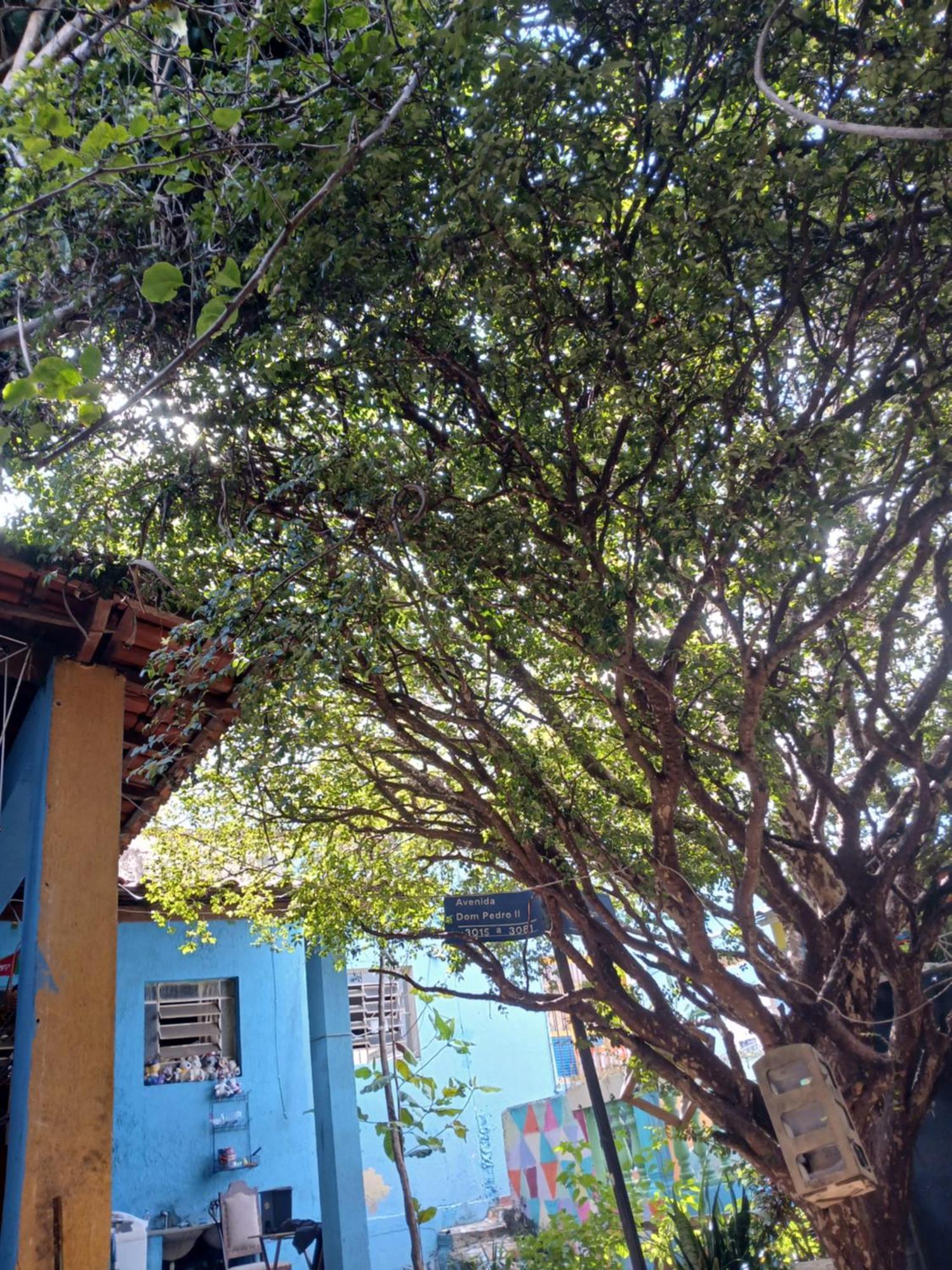Hostel Jabuticaba 벨루오리존치 외부 사진